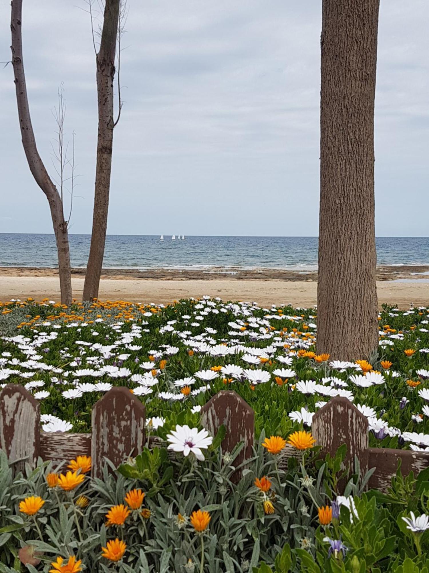 פאראלימני Holiday Apartment With Sea View מראה חיצוני תמונה